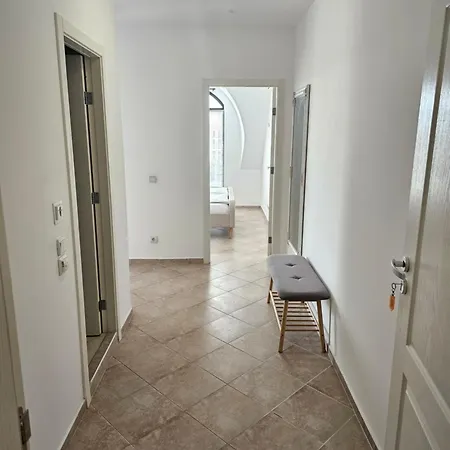 Magnolia * 拉夫达